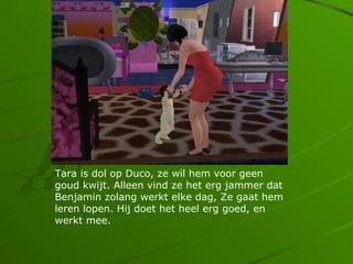 Tara is dol op Duco, ze wil hem voor geen
goud kwijt. Alleen vind ze het erg jammer dat
Benjamin zolang werkt elke dag, Ze gaat hem
leren lopen. Hij doet het heel erg goed, en
werkt mee.
 