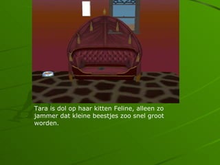 Tara is dol op haar kitten Feline, alleen zo
jammer dat kleine beestjes zoo snel groot
worden.
 