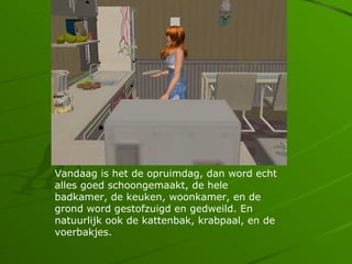 Vandaag is het de opruimdag, dan word echt
alles goed schoongemaakt, de hele
badkamer, de keuken, woonkamer, en de
grond word gestofzuigd en gedweild. En
natuurlijk ook de kattenbak, krabpaal, en de
voerbakjes.
 