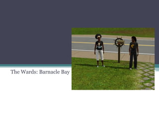 The Wards: Barnacle Bay 