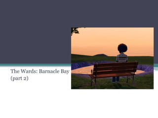 The Wards: Barnacle Bay (part 2) 