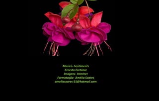 Música- Sentiments
       Ernesto Cortazar
      Imagens- Internet
 Formatação- Amélia Soares
ameliasoares-55@hotmail.com
 