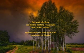 Que você não deixe
 sua mente abafar o seu coração
      nem os seus sonhos.

Que você eleve as mãos para o sol
     e comemore a bênção.
 