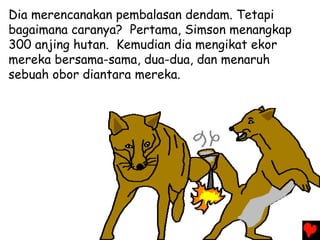 Dia merencanakan pembalasan dendam. Tetapi
bagaimana caranya? Pertama, Simson menangkap
300 anjing hutan. Kemudian dia mengikat ekor
mereka bersama-sama, dua-dua, dan menaruh
sebuah obor diantara mereka.
 