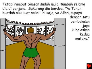 Tetapi rambut Simson sudah mulai tumbuh selama
dia di penjara. Sekarang dia berdoa, “Ya Tuhan,
buatlah aku kuat sekali ini saja, ya Allah, supaya
dengan satu
pembalasan
juga
kubalaskan
kedua
mataku.”
 