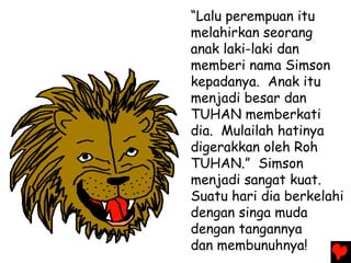 “Lalu perempuan itu
melahirkan seorang
anak laki-laki dan
memberi nama Simson
kepadanya. Anak itu
menjadi besar dan
TUHAN memberkati
dia. Mulailah hatinya
digerakkan oleh Roh
TUHAN.” Simson
menjadi sangat kuat.
Suatu hari dia berkelahi
dengan singa muda
dengan tangannya
dan membunuhnya!
 