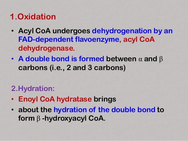 3.Oxidation
• β-Hydroxyacyl CoA dehydrogenase
catalyses the second oxidation and generates
NADH.
• The product formed is β...