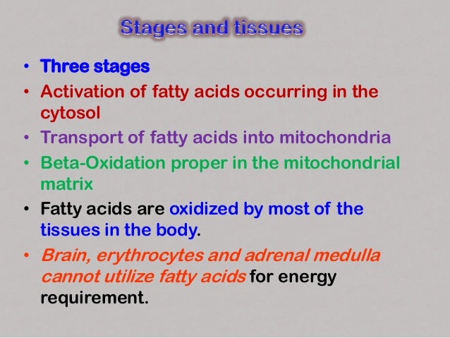 • Fatty acids are activated to acyl CoA by thiokinases or
acyl CoA synthetases
• The reaction occurs in two steps and requ...