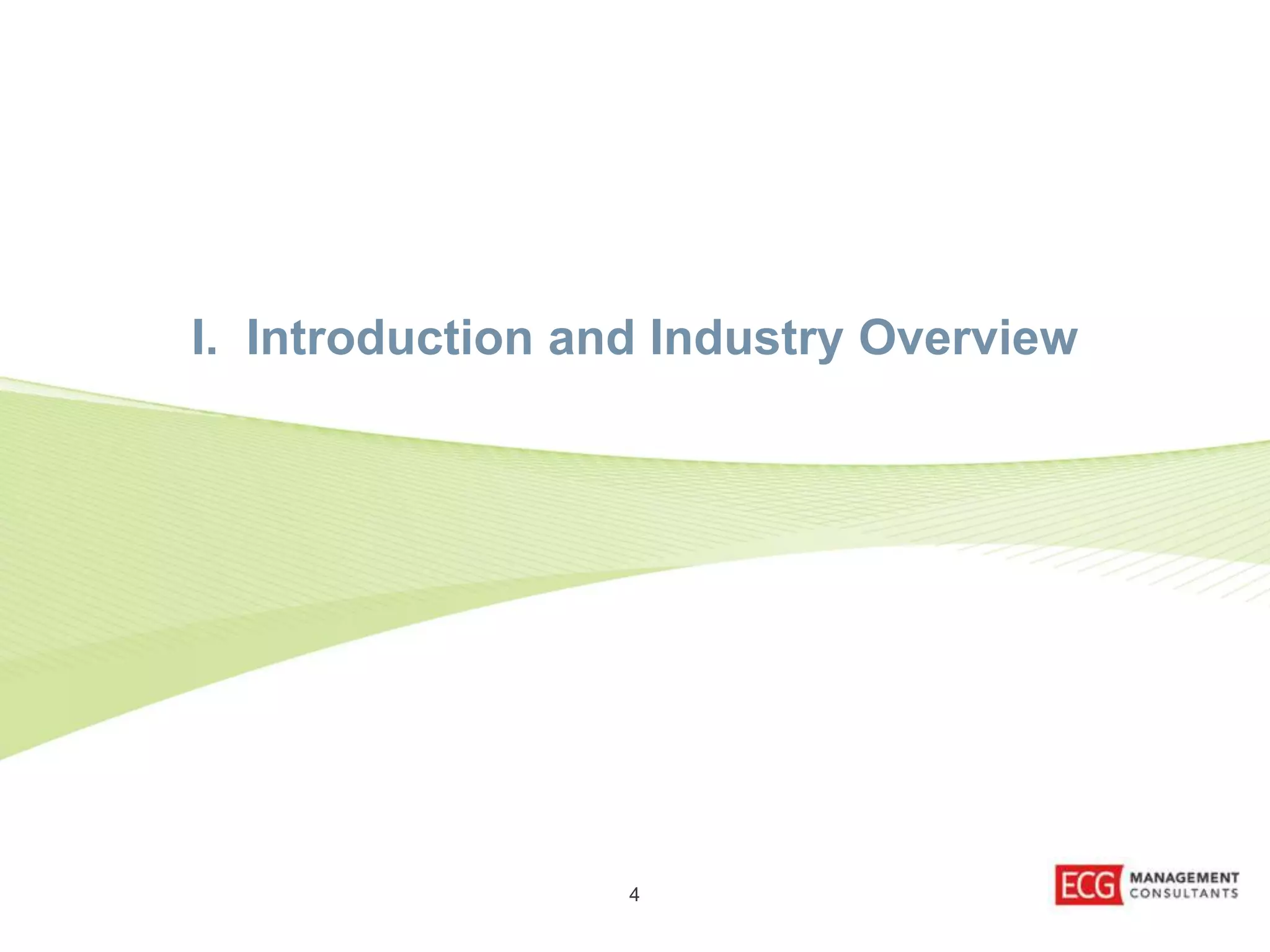 I. Introduction and Industry Overview 
4 
 