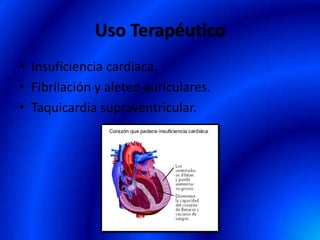 Uso Terapéutico
• Insuficiencia cardiaca.
• Fibrilación y aleteo auriculares.
• Taquicardia supraventricular.
 