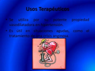 Usos Terapéuticos
• Se utiliza por su potente propiedad
vasodilatadora en hipertensión.
• Es útil en situaciones agudas, como el
tratamiento de una crisis anginosa.
 