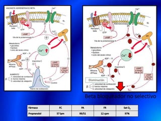 Beta bloqueador no selectivo
 