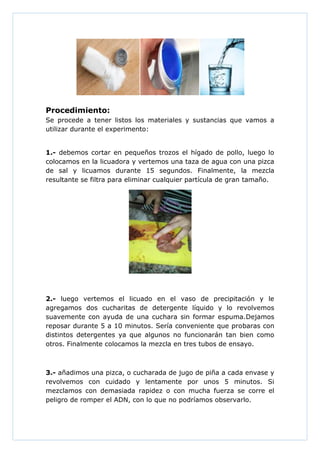 Procedimiento:
Se procede a tener listos los materiales y sustancias que vamos a
utilizar durante el experimento:
1.- debemos cortar en pequeños trozos el hígado de pollo, luego lo
colocamos en la licuadora y vertemos una taza de agua con una pizca
de sal y licuamos durante 15 segundos. Finalmente, la mezcla
resultante se filtra para eliminar cualquier partícula de gran tamaño.

2.- luego vertemos el licuado en el vaso de precipitación y le
agregamos dos cucharitas de detergente líquido y lo revolvemos
suavemente con ayuda de una cuchara sin formar espuma.Dejamos
reposar durante 5 a 10 minutos. Sería conveniente que probaras con
distintos detergentes ya que algunos no funcionarán tan bien como
otros. Finalmente colocamos la mezcla en tres tubos de ensayo.

3.- añadimos una pizca, o cucharada de jugo de piña a cada envase y
revolvemos con cuidado y lentamente por unos 5 minutos. Si
mezclamos con demasiada rapidez o con mucha fuerza se corre el
peligro de romper el ADN, con lo que no podríamos observarlo.

 