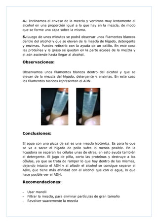 4.- Inclinamos el envase de la mezcla y vertimos muy lentamente el
alcohol en una proporción igual a la que hay en la mezcla, de modo
que se forme una capa sobre la misma.
5.-Luego de unos minutos se podrá observar unos filamentos blancos
dentro del alcohol y que se elevan de la mezcla de hígado, detergente
y enzimas. Puedes retirarlo con la ayuda de un palillo. En este caso
las proteínas y la grasa se quedan en la parte acuosa de la mezcla y
el adn asciende hasta llegar al alcohol.

Observaciones:
Observamos unos filamentos blancos dentro del alcohol y que se
elevan de la mezcla del hígado, detergente y enzimas. En este caso
los filamentos blancos representan el ADN.

Conclusiones:
El agua con una pizca de sal es una mezcla isotónica. Es para lo que
se va a sacar el hígado de pollo sufra lo menos posible. En la
licuadora se separan las células unas de otras, en esto ayuda también
el detergente. El jugo de piña, corta las proteínas y destruye a las
células, ya que se trata de romper lo que hay dentro de las mismas,
dejando intacto el ADN y al añadir el alcohol se consigue separar el
ADN, que tiene más afinidad con el alcohol que con el agua, lo que
hace posible ver el ADN.

Recomendaciones:
-

Usar mandil
Filtrar la mezcla, para eliminar partículas de gran tamaño
Revolver suavemente la mezcla

 