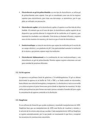 SIMULACION DEL GEL DE AGAROSA.pdf