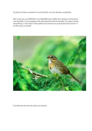 Os planos de Deus se baseiam na sua Vontade, nos seus desejos e propósitos.


Mas maior que sua VONTADE é sua VOCAÇÃO para o BEM. Seus desejos se fortalecem
com bondade. E seus propósitos são absurdamente desinteressados. Por algum motivo
maravilhoso, o único Deus Todo-poderoso do universo ao qual pertencemos é bom. É
só olhar para um pardal




É só desfrutar do fruto da videira, da oliveira.
 