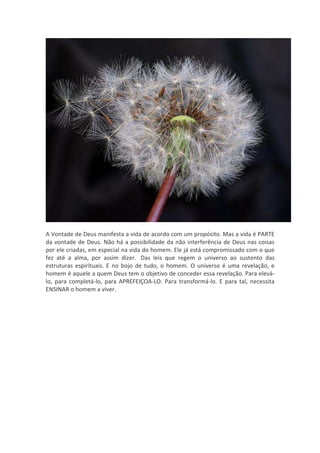 A Vontade de Deus manifesta a vida de acordo com um propósito. Mas a vida é PARTE
da vontade de Deus. Não há a possibilidade da não interferência de Deus nas coisas
por ele criadas, em especial na vida do homem. Ele já está compromissado com o que
fez até a alma, por assim dizer. Das leis que regem o universo ao sustento das
estruturas espirituais. E no bojo de tudo, o homem. O universo é uma revelação, e
homem é aquele a quem Deus tem o objetivo de conceder essa revelação. Para elevá-
lo, para completá-lo, para APREFEIÇOA-LO. Para transformá-lo. E para tal, necessita
ENSINAR o homem a viver.
 