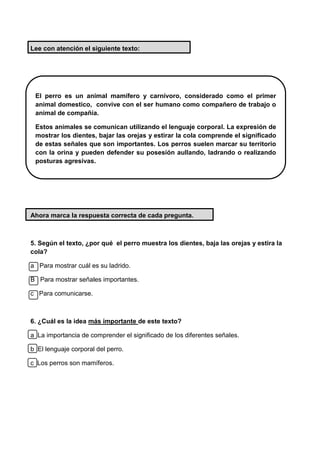 Lee con atención el siguiente texto:
Ahora marca la respuesta correcta de cada pregunta.
5. Según el texto, ¿por qué el perro muestra los dientes, baja las orejas y estira la
cola?
a Para mostrar cuál es su ladrido.
B Para mostrar señales importantes.
c Para comunicarse.
6. ¿Cuál es la idea más importante de este texto?
a La importancia de comprender el significado de los diferentes señales.
b El lenguaje corporal del perro.
c Los perros son mamíferos.
El perro es un animal mamífero y carnívoro, considerado como el primer
animal domestico, convive con el ser humano como compañero de trabajo o
animal de compañía.
Estos animales se comunican utilizando el lenguaje corporal. La expresión de
mostrar los dientes, bajar las orejas y estirar la cola comprende el significado
de estas señales que son importantes. Los perros suelen marcar su territorio
con la orina y pueden defender su posesión aullando, ladrando o realizando
posturas agresivas.
 