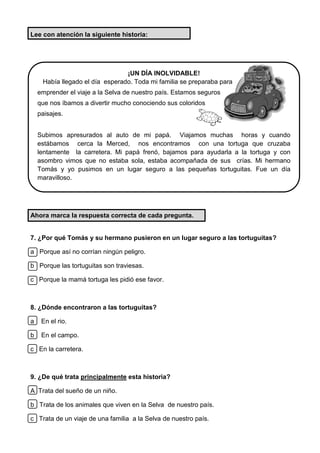 Lee con atención la siguiente historia:
Ahora marca la respuesta correcta de cada pregunta.
7. ¿Por qué Tomás y su hermano pusieron en un lugar seguro a las tortuguitas?
a Porque así no corrían ningún peligro.
b Porque las tortuguitas son traviesas.
c Porque la mamá tortuga les pidió ese favor.
8. ¿Dónde encontraron a las tortuguitas?
a En el rio.
b En el campo.
c En la carretera.
9. ¿De qué trata principalmente esta historia?
A Trata del sueño de un niño.
b Trata de los animales que viven en la Selva de nuestro país.
c Trata de un viaje de una familia a la Selva de nuestro país.
¡UN DÍA INOLVIDABLE!
Había llegado el día esperado. Toda mi familia se preparaba para
emprender el viaje a la Selva de nuestro país. Estamos seguros
que nos íbamos a divertir mucho conociendo sus coloridos
paisajes.
Subimos apresurados al auto de mi papá. Viajamos muchas horas y cuando
estábamos cerca la Merced, nos encontramos con una tortuga que cruzaba
lentamente la carretera. Mi papá frenó, bajamos para ayudarla a la tortuga y con
asombro vimos que no estaba sola, estaba acompañada de sus crías. Mi hermano
Tomás y yo pusimos en un lugar seguro a las pequeñas tortuguitas. Fue un día
maravilloso.
 