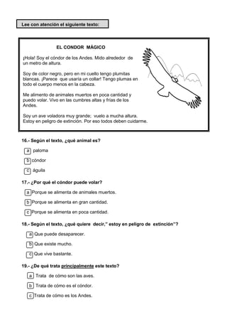 Lee con atención el siguiente texto:
EL CONDOR MÁGICO
¡Hola! Soy el cóndor de los Andes. Mido alrededor de
un metro de altura.
Soy de color negro, pero en mi cuello tengo plumitas
blancas. ¡Parece que usaría un collar! Tengo plumas en
todo el cuerpo menos en la cabeza.
Me alimento de animales muertos en poca cantidad y
puedo volar. Vivo en las cumbres altas y frías de los
Andes.
Soy un ave voladora muy grande; vuelo a mucha altura.
Estoy en peligro de extinción. Por eso todos deben cuidarme.
16.- Según el texto, ¿qué animal es?
a paloma
b cóndor
c águila
17.- ¿Por qué el cóndor puede volar?
a Porque se alimenta de animales muertos.
b Porque se alimenta en gran cantidad.
c Porque se alimenta en poca cantidad.
18.- Según el texto, ¿qué quiere decir,” estoy en peligro de extinción”?
a Que puede desaparecer.
b Que existe mucho.
c Que vive bastante.
19.- ¿De qué trata principalmente este texto?
a Trata de cómo son las aves.
b Trata de cómo es el cóndor.
c Trata de cómo es los Andes.
 