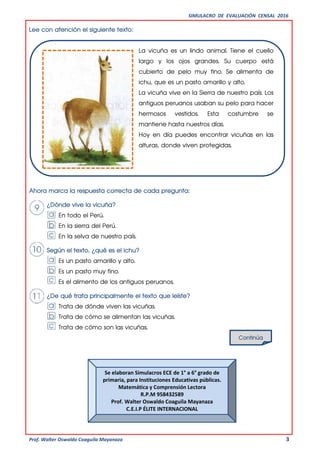 SIMULACRO DE EVALUACIÓN CENSAL 2016
Prof. Walter Oswaldo Coaguila Mayanaza 3
Lee con atención el siguiente texto:
La vicuña es un lindo animal. Tiene el cuello
largo y los ojos grandes. Su cuerpo está
cubierto de pelo muy fino. Se alimenta de
ichu, que es un pasto amarillo y alto.
La vicuña vive en la Sierra de nuestro país. Los
antiguos peruanos usaban su pelo para hacer
hermosos vestidos. Esta costumbre se
mantiene hasta nuestros días.
Hoy en día puedes encontrar vicuñas en las
alturas, donde viven protegidas.
Ahora marca la respuesta correcta de cada pregunta:
¿Dónde vive la vicuña?
En todo el Perú.
En la sierra del Perú.
En la selva de nuestro país.
Según el texto, ¿qué es el ichu?
Es un pasto amarillo y alto.
Es un pasto muy fino.
Es el alimento de los antiguos peruanos.
¿De qué trata principalmente el texto que leíste?
Trata de dónde viven las vicuñas.
Trata de cómo se alimentan las vicuñas.
Trata de cómo son las vicuñas.
Continúa
Se elaboran Simulacros ECE de 1° a 6° grado de
primaria, para Instituciones Educativas públicas.
Matemática y Comprensión Lectora
R.P.M 958432589
Prof. Walter Oswaldo Coaguila Mayanaza
C.E.I.P ÉLITE INTERNACIONAL
 