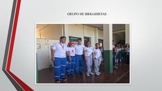 GRUPO DE BRIGADISTAS
 