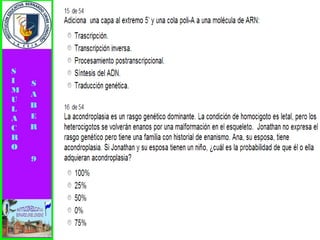 Simulacro pruebas saber 9° elizabeth ramirez 