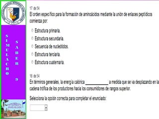 Simulacro pruebas saber 9° elizabeth ramirez 