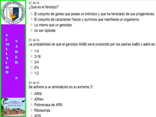 Simulacro pruebas saber 9° elizabeth ramirez 