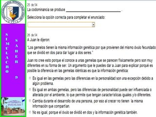 Simulacro pruebas saber 9° elizabeth ramirez 