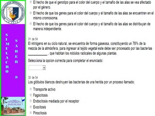 Simulacro pruebas saber 9° elizabeth ramirez 