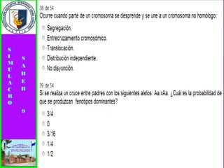 Simulacro pruebas saber 9° elizabeth ramirez 