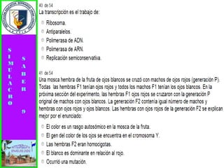 Simulacro pruebas saber 9° elizabeth ramirez 