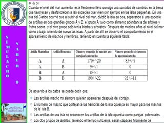 Simulacro pruebas saber 9° elizabeth ramirez 