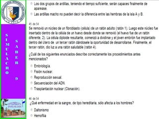 Simulacro pruebas saber 9° elizabeth ramirez 