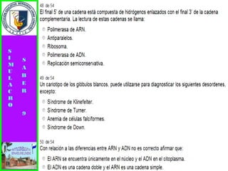 Simulacro pruebas saber 9° elizabeth ramirez 