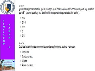 Simulacro pruebas saber 9° elizabeth ramirez 