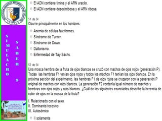 Simulacro pruebas saber 9° elizabeth ramirez 