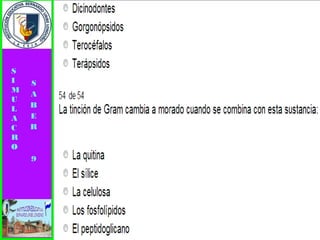 Simulacro pruebas saber 9° elizabeth ramirez 