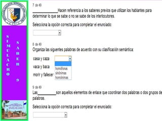 Simulacro pruebas saber 9° elizabeth ramirez 