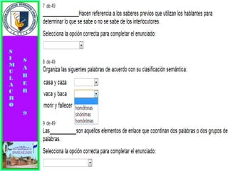 Simulacro pruebas saber 9° elizabeth ramirez 