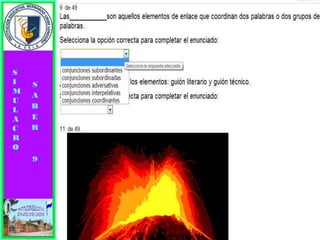 Simulacro pruebas saber 9° elizabeth ramirez 