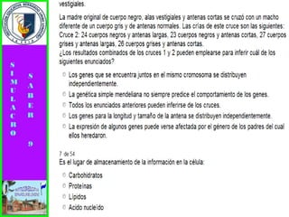 Simulacro pruebas saber 9° elizabeth ramirez 