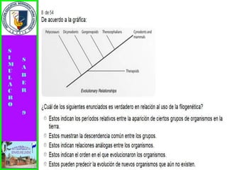 Simulacro pruebas saber 9° elizabeth ramirez 