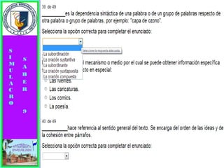 Simulacro pruebas saber 9° elizabeth ramirez 