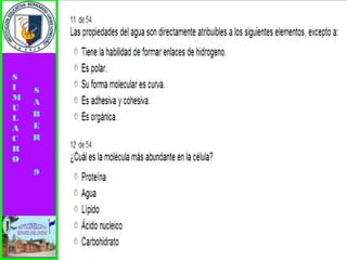 Simulacro pruebas saber 9° elizabeth ramirez 