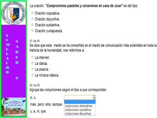 Simulacro pruebas saber 9° elizabeth ramirez 