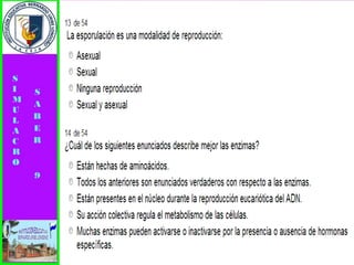 Simulacro pruebas saber 9° elizabeth ramirez 