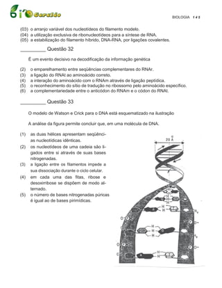 BIOLOGIA 1 4 5


(03) o arranjo variável dos nucleotídeos do filamento modelo.
(04) a utilização exclusiva de ribonucleotídeos para a síntese de RNA.
(05) a estabilização do filamento híbrido, DNA-RNA, por ligações covalentes.

_________ Questão 32
      É um evento decisivo na decodificação da informação genética

(2)    o emparelhamento entre seqüências complementares do RNAr.
(3)    a ligação do RNAt ao aminoácido correto.
(4)    a interação do aminoácido com o RNAm através de ligação peptídica.
(5)    o reconhecimento do sítio de tradução no ribossomo pelo aminoácido específico.
(6)    a complementariedade entre o anticódon do RNAm e o códon do RNAt.

_________ Questão 33

      O modelo de Watson e Crick para o DNA está esquematizado na ilustração

      A análise da figura permite concluir que, em uma molécula de DNA.

(1)    as duas hélices apresentam seqüênci-
       as nucleotídicas idênticas.
(2)    os nucleotídeos de uma cadeia são li-
       gados entre si através de suas bases
       nitrogenadas.
(3)    a ligação entre os filamentos impede a
       sua dissociação durante o ciclo celular.
(4)    em cada uma das fitas, ribose e
       desoxirribose se dispõem de modo al-
       ternado.
(5)    o número de bases nitrogenadas púricas
       é igual ao de bases pirimídicas.
 