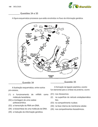 146    BIOLOGIA



_________ Questões 34 e 35

      A figura esquematiza processos que estão envolvidos no fluxo da informação genética.




___________Questão 34                              ___________Questão 35

    A ilustração esquematiza, entre outros             A formação da ligação peptídica, evento
pro-cessos,                                        fun-damental para a síntese da proteína, ocorre

(1)   o funcionamento de mRNA              como    (01) nos ribossomos
      mólécula hereditária.                        (2)  na superfície do retículo endoplasmático
(02) a montagem de uma cadeia                           liso.
      polissacarídica.                             (03) no compartimento nuclear.
(03) a transcrição do RNA em DNA.                  (04) na face interna da membrana celular.
(04) a biossíntese de uma molécula de DNA.         (05) nos compartimentos lisossômicos.
(05) a tradução da informação genética.
 